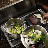 Campfire Pot Stainless Steel 3L - Roamrgear.co.za